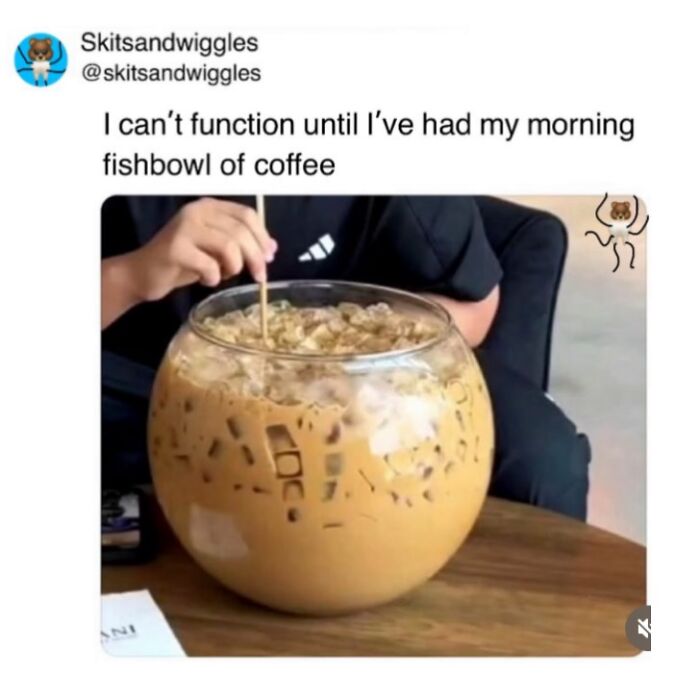 These Hilariously Random Memes Will Totally Brighten Your Day