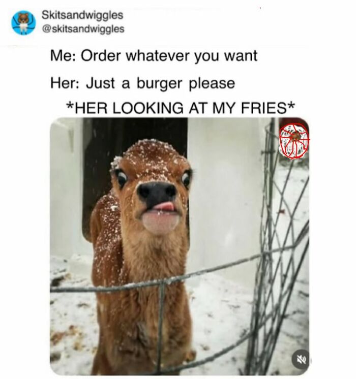 These Hilariously Random Memes Will Totally Brighten Your Day
