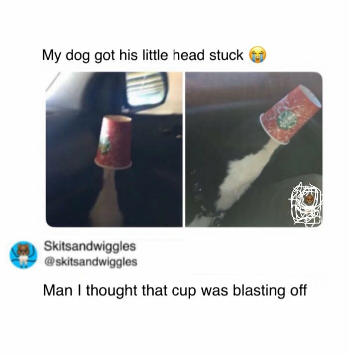 These Hilariously Random Memes Will Totally Brighten Your Day