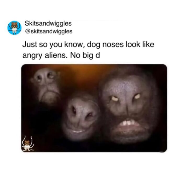These Hilariously Random Memes Will Totally Brighten Your Day