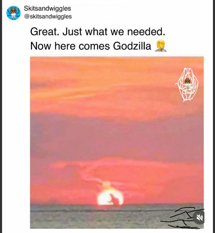 These Hilariously Random Memes Will Totally Brighten Your Day