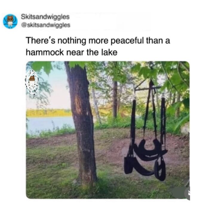 These Hilariously Random Memes Will Totally Brighten Your Day