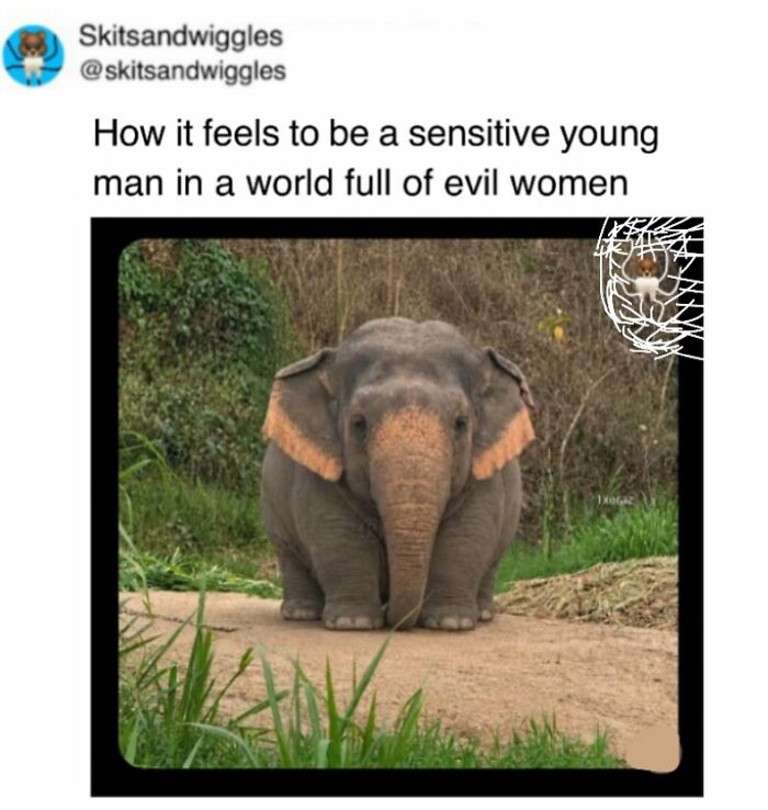 These Hilariously Random Memes Will Totally Brighten Your Day
