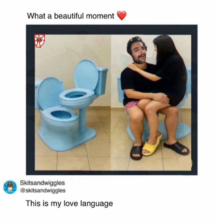 These Hilariously Random Memes Will Totally Brighten Your Day