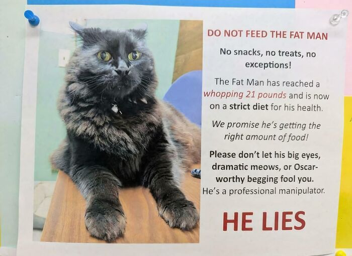 Don’t Feed The Fat Man (Seriously)