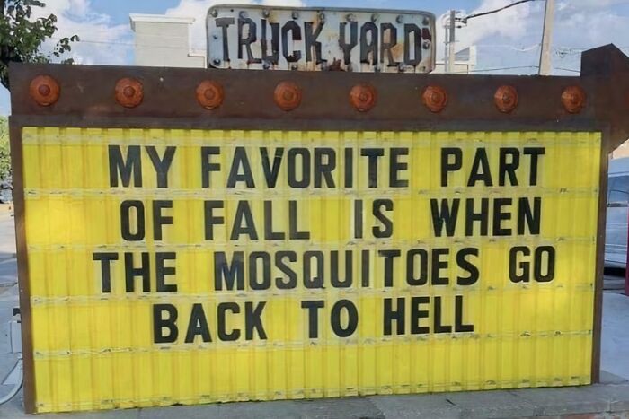 Mosquitoes? Not Today!