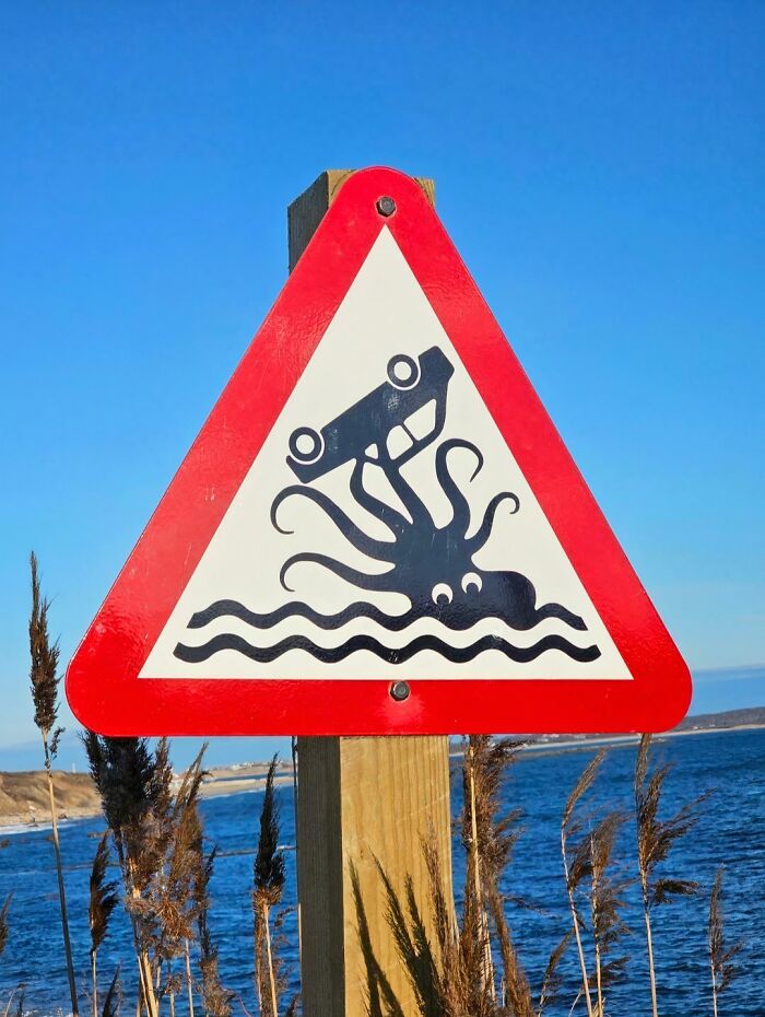 Wait, They Actually Made These Signs? 89 Hilariously Random Signs That'll Make You Do A Double Take