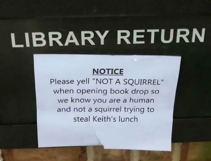 Wait, They Actually Made These Signs? 89 Hilariously Random Signs That'll Make You Do A Double Take