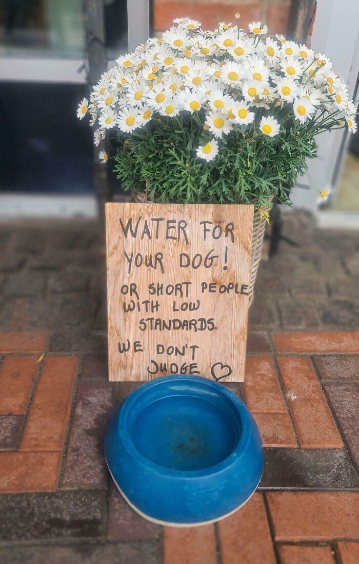 Wait, They Actually Made These Signs? 89 Hilariously Random Signs That'll Make You Do A Double Take