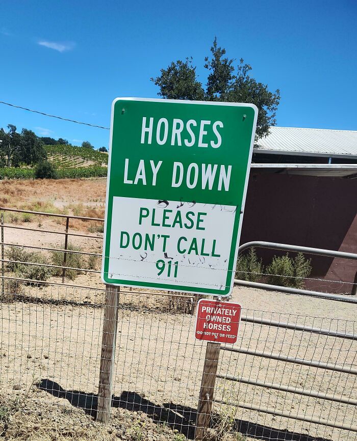 Wait, They Actually Made These Signs? 89 Hilariously Random Signs That'll Make You Do A Double Take