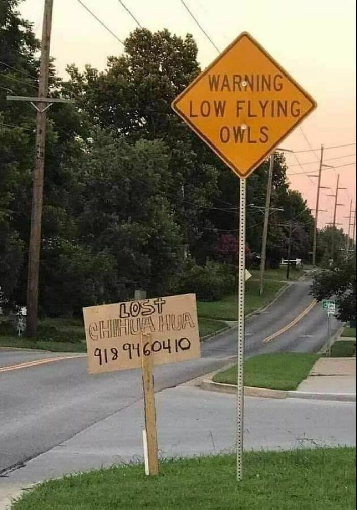 Wait, They Actually Made These Signs? 89 Hilariously Random Signs That'll Make You Do A Double Take