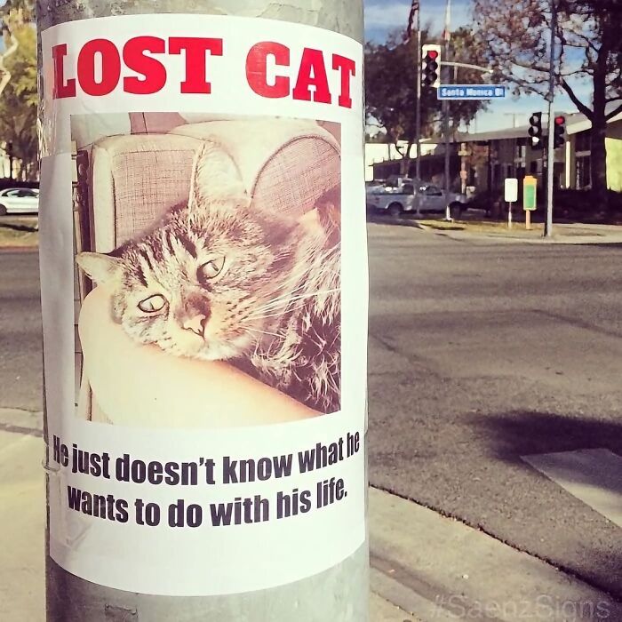 Wait, They Actually Made These Signs? 89 Hilariously Random Signs That'll Make You Do A Double Take