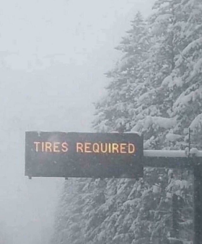 Wait, They Actually Made These Signs? 89 Hilariously Random Signs That'll Make You Do A Double Take