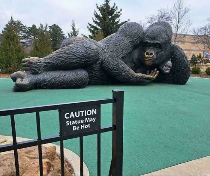 Wait, They Actually Made These Signs? 89 Hilariously Random Signs That'll Make You Do A Double Take