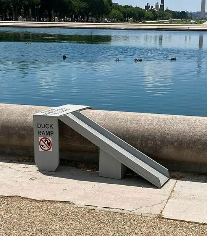 Wait, They Actually Made These Signs? 89 Hilariously Random Signs That'll Make You Do A Double Take