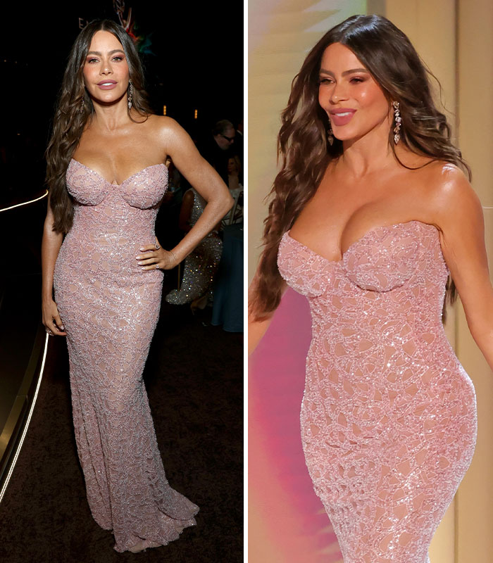 Sofia Vergara Presented An Award In A Strapless Pink Gown