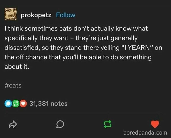 Wait, They Actually Ranked These Edgy Memes?!