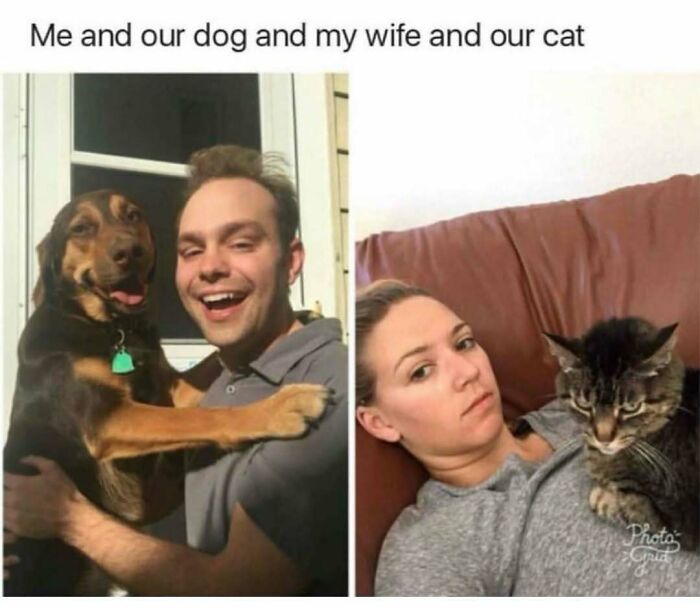 79 Dogs Being Total Goofballs and The Memes That Made Us LOL