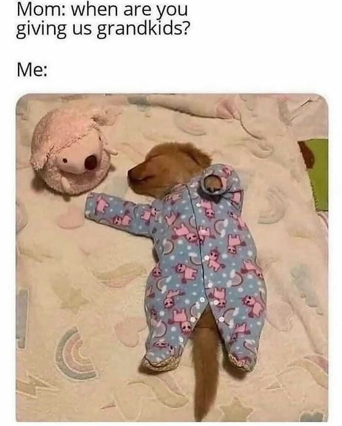 79 Dogs Being Total Goofballs and The Memes That Made Us LOL