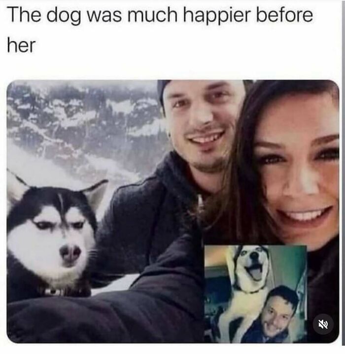79 Dogs Being Total Goofballs and The Memes That Made Us LOL