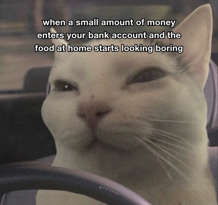 These Cat Memes Will Totally Crack You Up (No Cap)