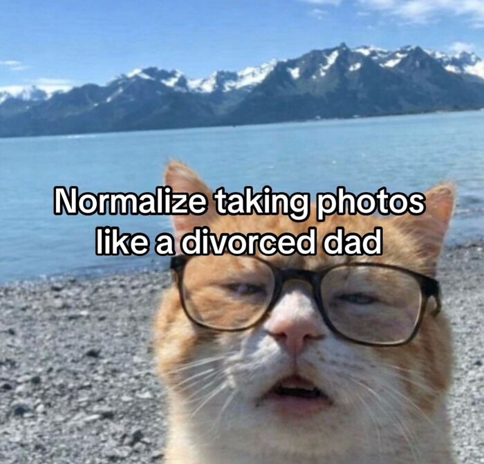 These Cat Memes Will Totally Crack You Up (No Cap)