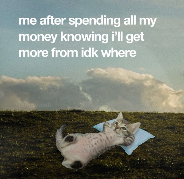 These Cat Memes Will Totally Crack You Up (No Cap)