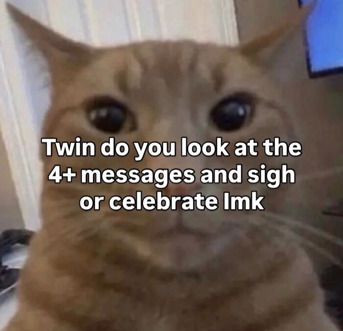 These Cat Memes Will Totally Crack You Up (No Cap)