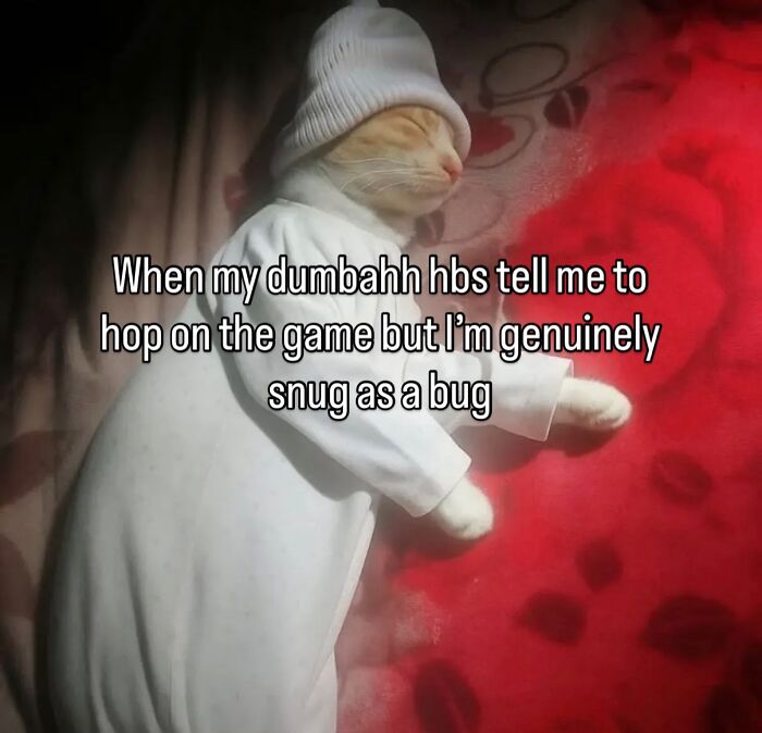 These Cat Memes Will Totally Crack You Up (No Cap)
