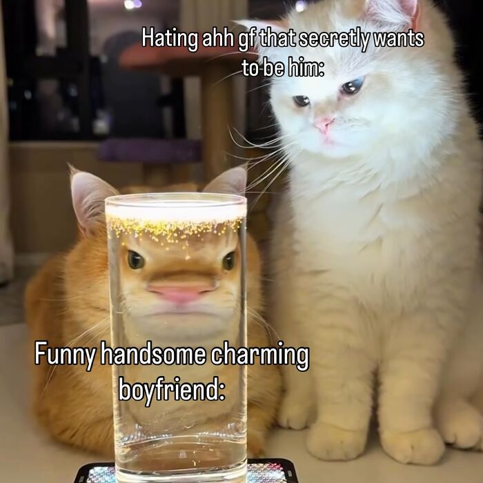 These Cat Memes Will Totally Crack You Up (No Cap)