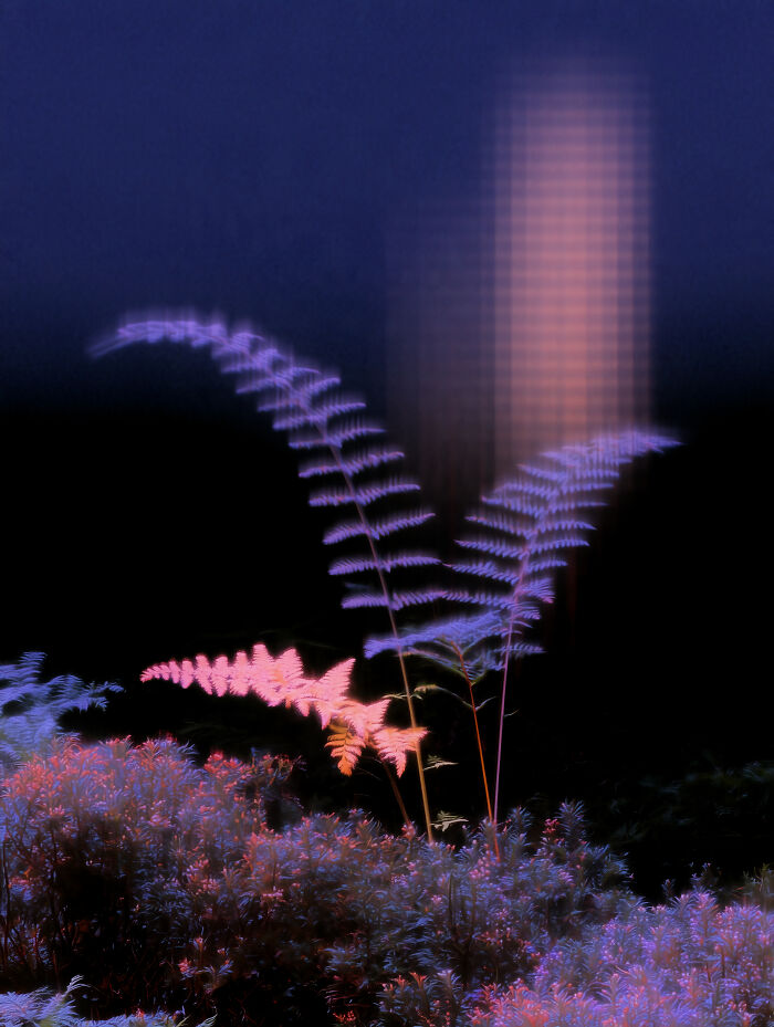 28 Dreamy Pictures That Make Real Places Look Like Magic