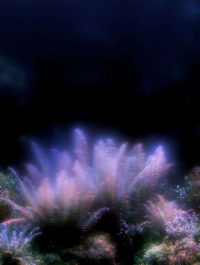 28 Dreamy Pictures That Make Real Places Look Like Magic