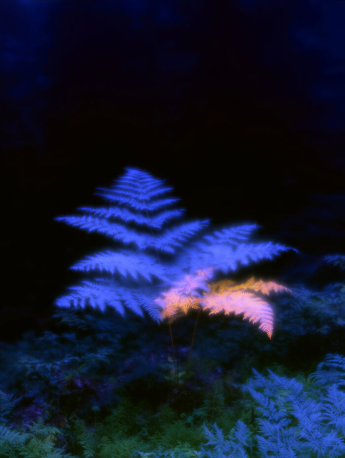 28 Dreamy Pictures That Make Real Places Look Like Magic