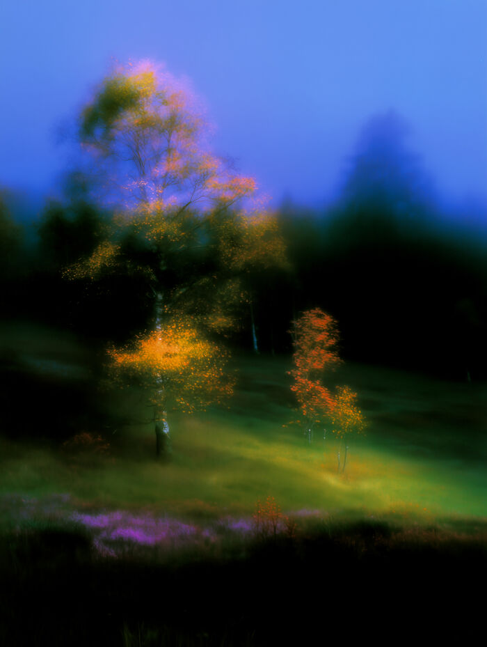 28 Dreamy Pictures That Make Real Places Look Like Magic