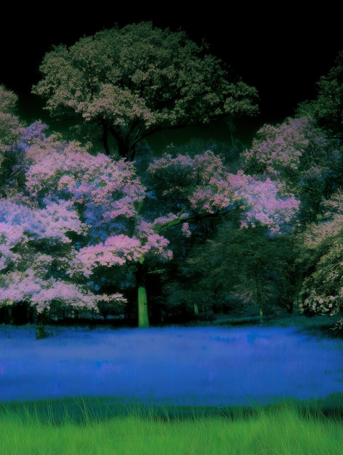 28 Dreamy Pictures That Make Real Places Look Like Magic