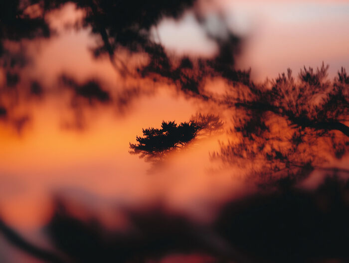 28 Dreamy Pictures That Make Real Places Look Like Magic