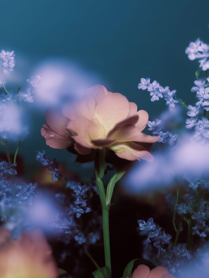 28 Dreamy Pictures That Make Real Places Look Like Magic
