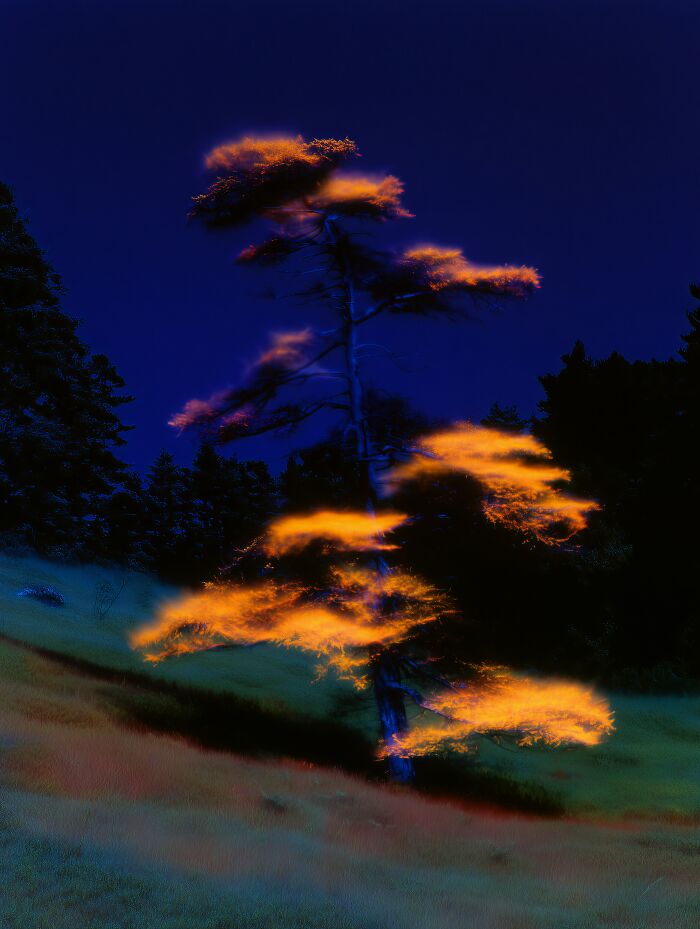 28 Dreamy Pictures That Make Real Places Look Like Magic