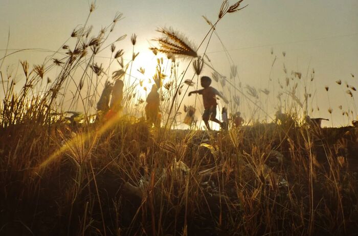Whispers In The Tall Grass Street Edition