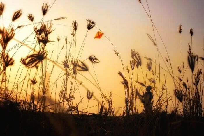 Fly High, Little Kite!