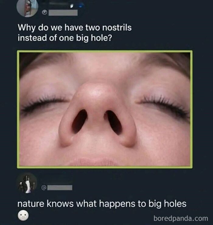 Nostrils Gone Wild: The Cursed Sniff Masterpiece