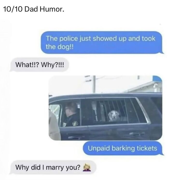 54 Dog Memes That Are Basically Comedy Gold