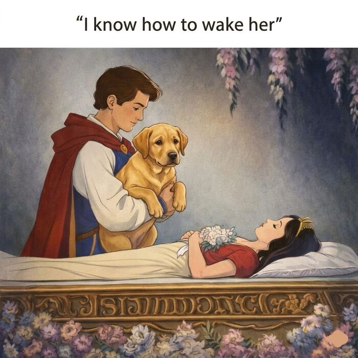 54 Dog Memes That Are Basically Comedy Gold