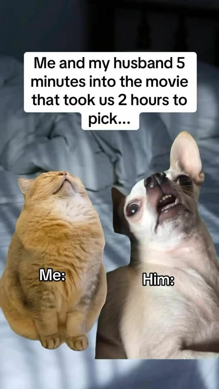 54 Dog Memes That Are Basically Comedy Gold