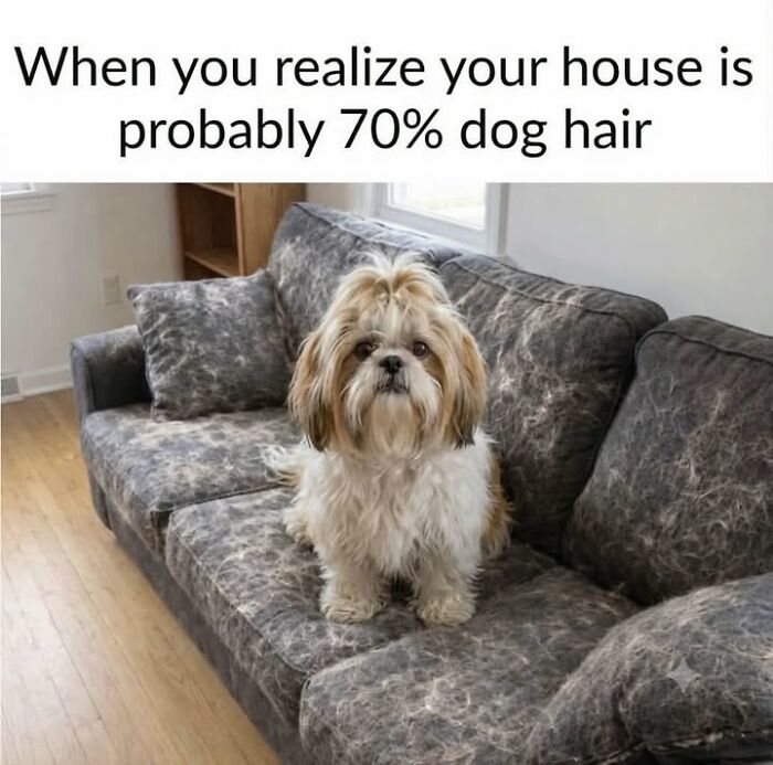 54 Dog Memes That Are Basically Comedy Gold
