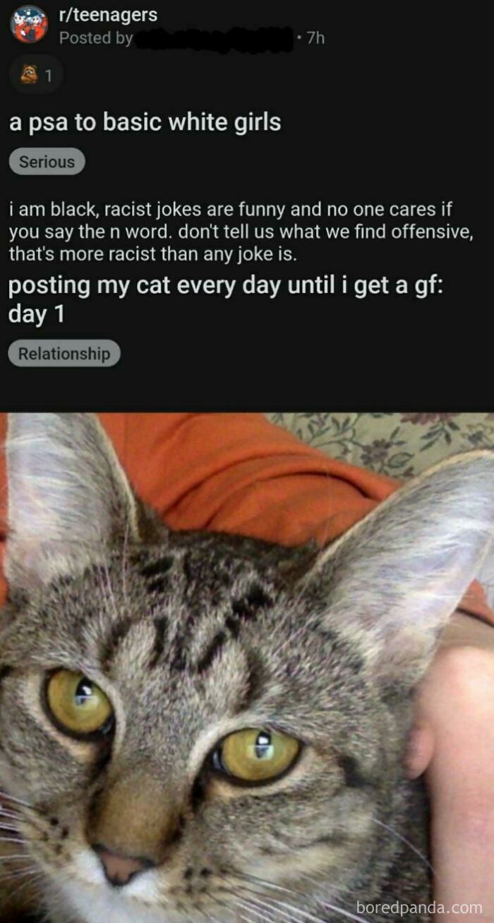 Claims To Be Black, But Cat Pics Say Otherwise