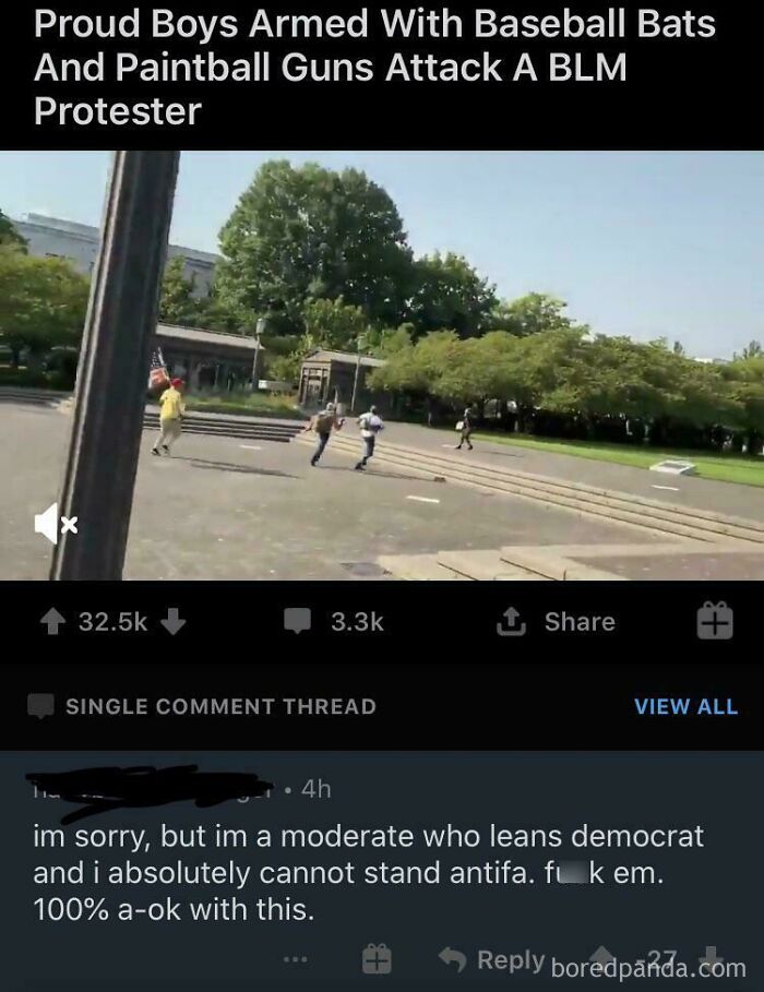 "As A Democrat Leaner, I’m Cool With Fascists Beating Up BLM"