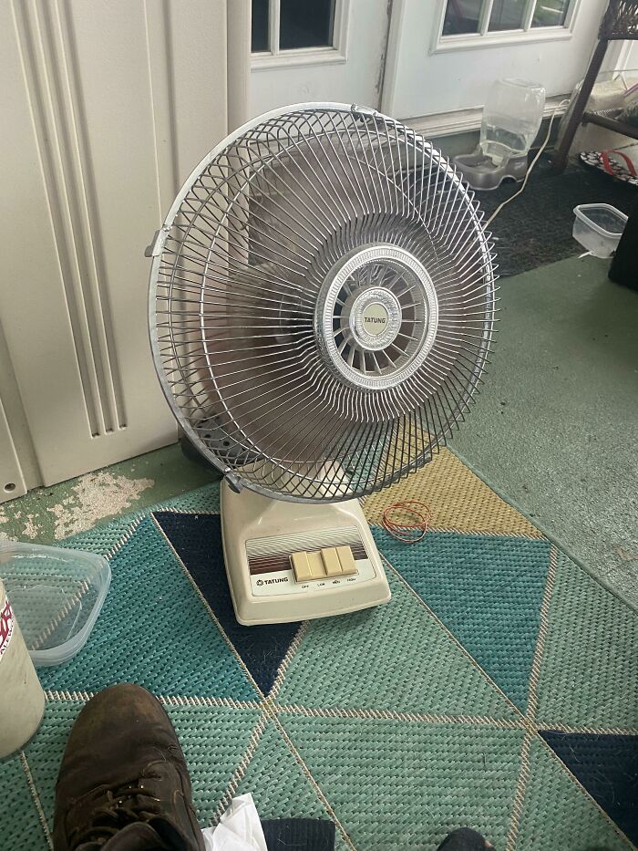 Dad Just Brought Home an Early 80s Fan—Summer Nostalgia Activated