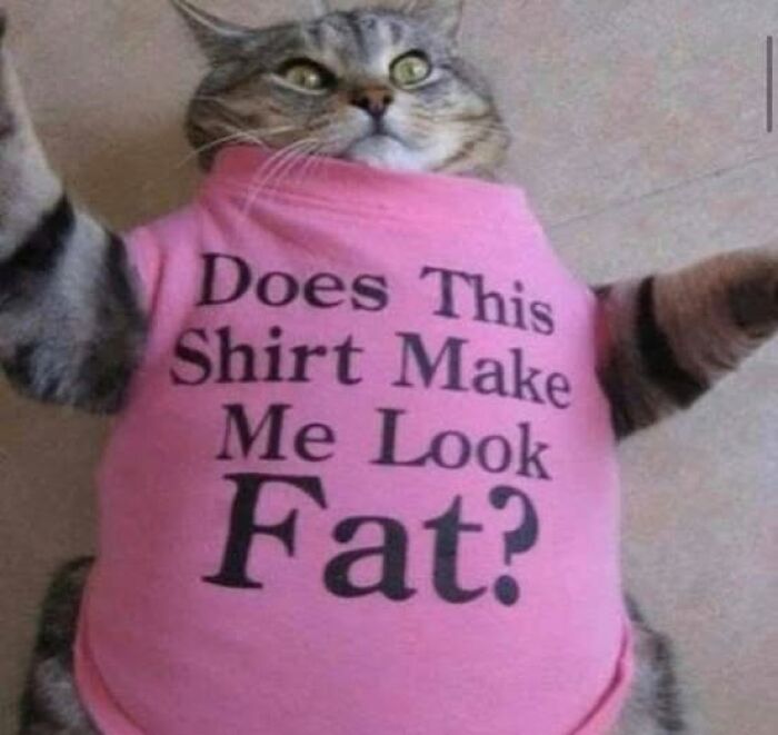 61 T-Shirts That Basically Tell Your Life Story (No Filter!)