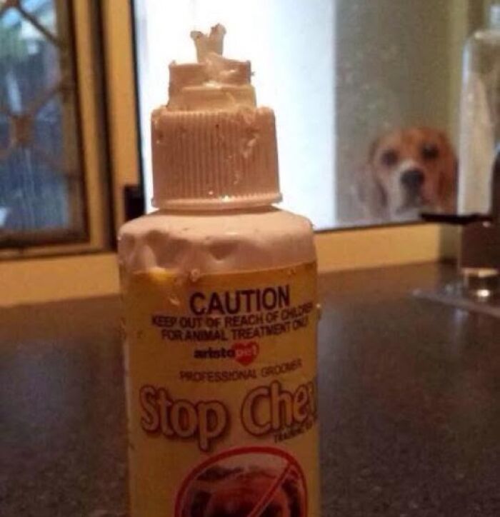 Oops, You Had ONE Job! 51 Hilarious Fails That’ll Make You LOL